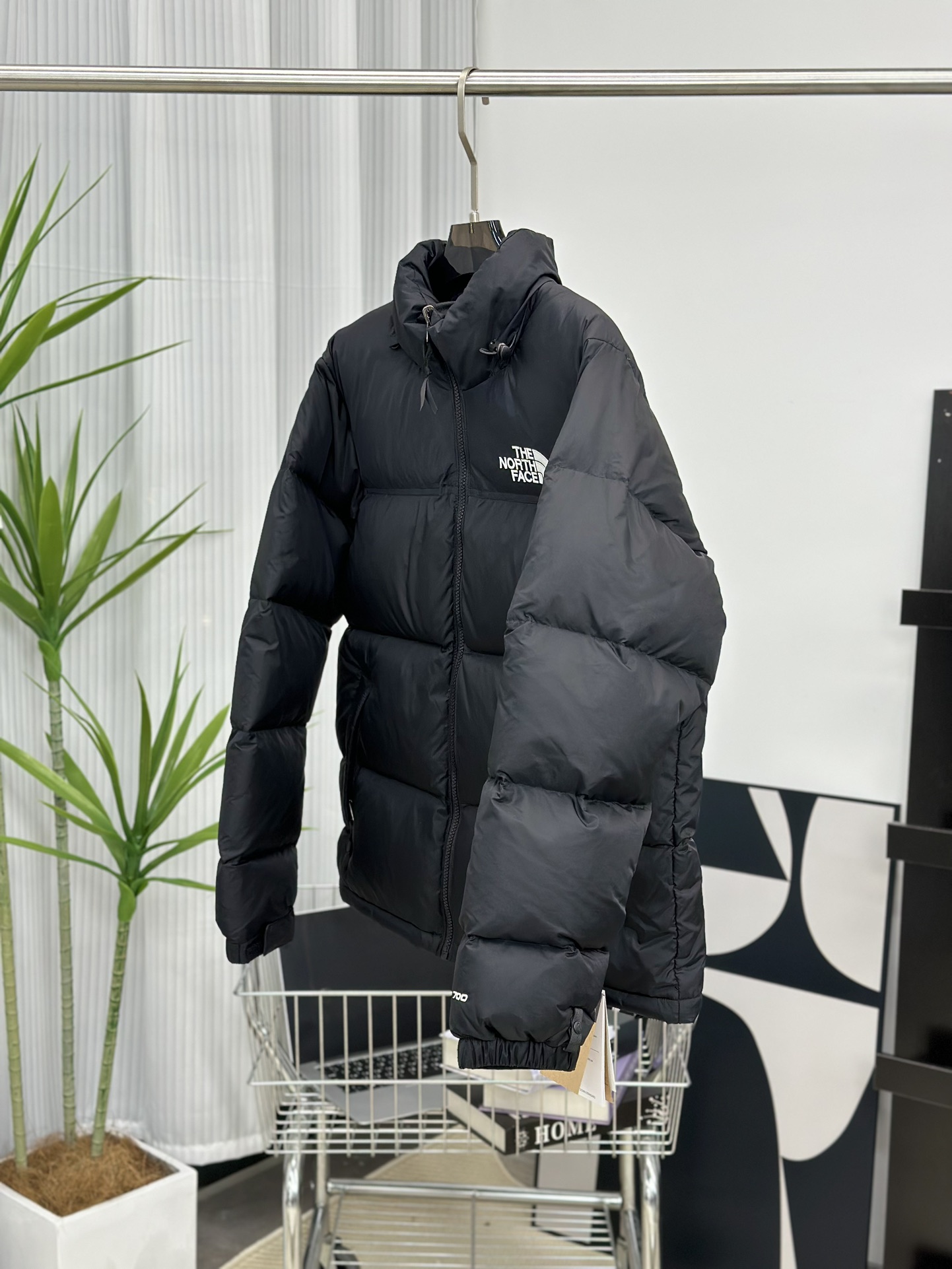 The North Face Down Jackets